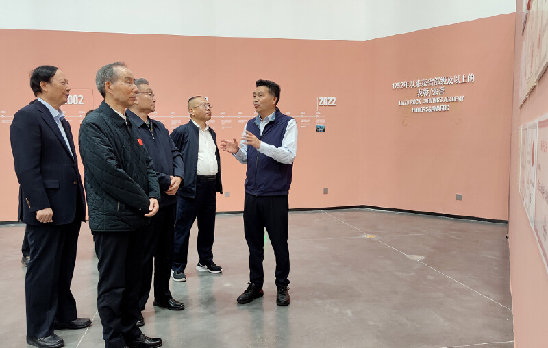 中国国际文化传播中心执行主席龙宇翔到重庆考察调研